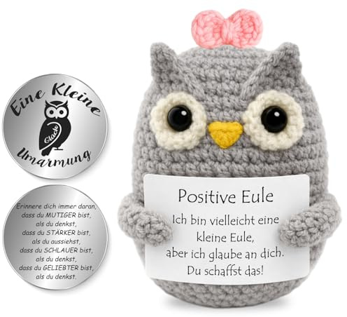 Tixlux Pocket Hug Positive Eule, Kreative Strickwolle Eulen- Dekofigur und Kleine Umarmung Glücksbringer, MutmacherGeschenk, Gute Besserung Geschenk, Einschulung Geschenk Rosa