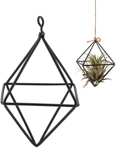Tomotato Luftpflanzenhalter Himmeli Geometrische Hängepflanze Mini Metall Hängende Airplants Rack Tillandsia Aufhänger Air Farn Ausstellungsständer für Wohnkultur(Schwarz)