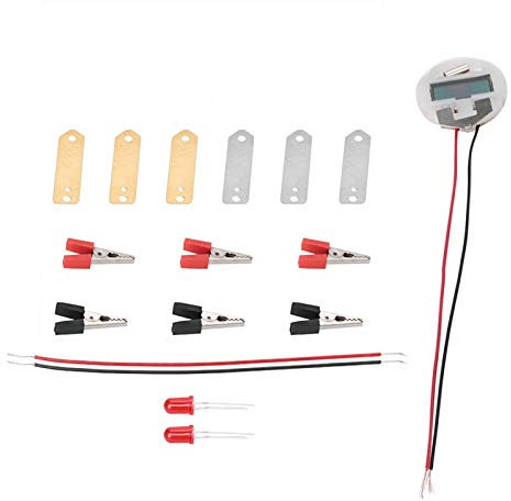 Kit de Experimentos de Ciencia con Batería de Frutas, Kit de Ciencia de Bioenergía, Diversión Educativa para Niños, Experimentos de Electricidad de Patata, Juguetes, Tema Educativo