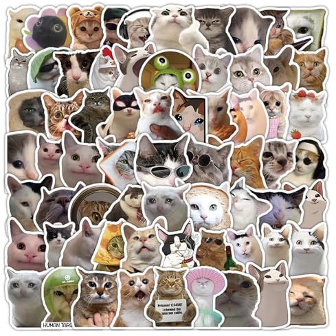 100Pcs Funny Cat Stickers, Waterproof Vinyl Cat Meme Stickers, Cool Kitten Aesthetic Sticker, Joke Emoji Sticker for Water Bottle, Laptop, Phone, Skateboard, for Teens Girls Kids