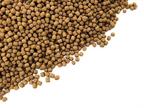 HERONS - Wheatgerm Pellets - 3 mm Pellets for all Goldfish, Japanese koi and Pond Fish - OMEGA-3 Fatty Acids, Vitamin E and C - Improves Digestion, Liver Function - Enhance Colour - 1 KG