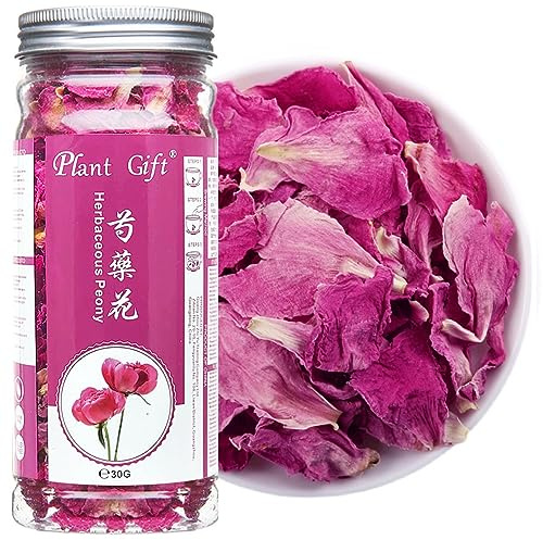 PlantGift Peony Flower Petals 30G/1 05oz 芍药花 Herbaceous Peony Tea Pure Herbal Tea Peach Blossom Tea Caffeine Free No GMOs Chinese Tea G Peony Flower