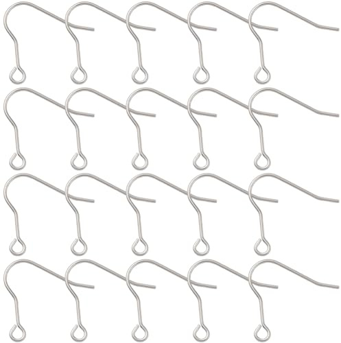Beebeecraft 20 Gancio per Orecchini in Titanio Ganci per Orecchini in Metallo Ipoallergenico Stile Francese Colore Argento A Forma di Orecchie di Pesce Ideali per La Creazione di Gioielli Fai da Te