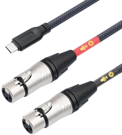 HUALUE 10Ft Dual XLR to USB C Stereo Microphone Cable, Smartphone Recording Cable, Dual Channel Stereo Input for iPhone 15 iPad Dynamic Condenser Microphone