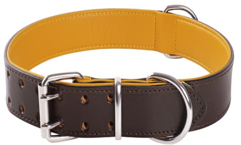 Echtlederhalsband XL Gepolstert Verstellbar für Große Hunde
