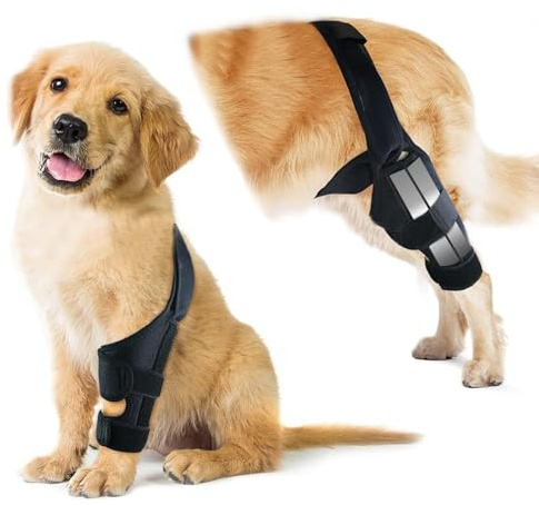 Hunde-Kniebandage für Hinterbeine, verstellbare ACL-Genesungshilfe für Hunderückenbeine, Kreuzbandstütze für verletzte ältere Hunde, warme Gelenk- und Linderungsschmerzen, Tauchtuch-Material (Schwarz