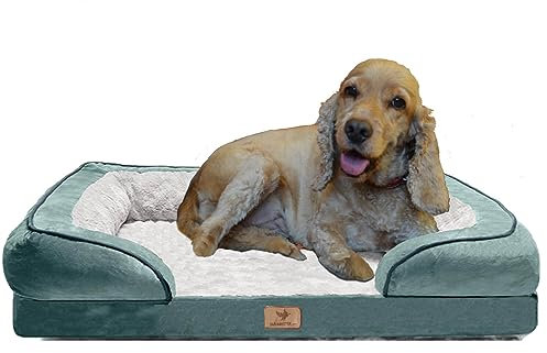 Traumreiter orthopädisches Hundebett für mittelgroße Hunde L Grün I Hundekörbchen Hundekorb Hundekissen Hundehöhle Hundesofa Bettchen Hundebetten für mittlere Hunde 90x60 cm