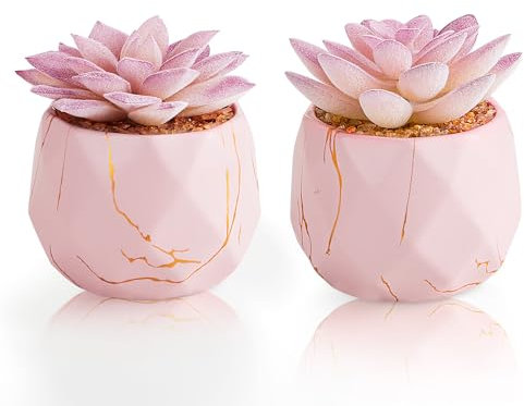 ZENIDA Set of 2 Artificial Succulents Plants in White Ceramic Pots, Mini Potted Plants, Small Decorative Fake Plants for Home, Office, Desk, Bathroom, Bedroom and Shelves Decor