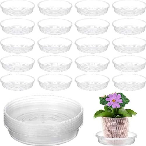 Constprog Lot de 10 soucoupes rondes en plastique transparent pour pot de fleurs (25 cm-10 pièces)