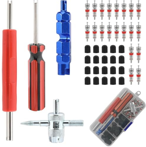 JEYORZY 44x Herramientas de Extracción de Válvula, Herramientas de Válvulas de Neumáticos, Kit de Reparación de Neumáticos, Núcleos Válvula, Llave Núcleo de Válvula, Herramientas Extracción Válvulas