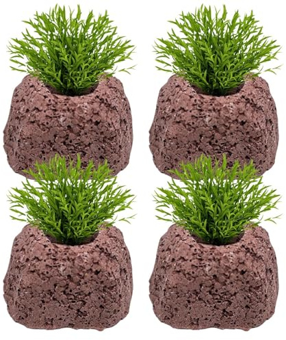 Macetas para plantas de acuario, soportes de piedra volcánica, diseño antiflotante con soporte estable, accesorio práctico con equilibrio acuático, juego de 4 anillos, fijación segura para el