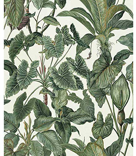 Erismann 6303-07 Paradiso Collection Non-Woven Wallpaper, Multi-Colour, 10.05 x 0.53 m