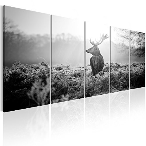 murando - Quadro Acustico Cervo 5 pezzi schiuma acustica Quadri Moderni Grandi - Camera da Letto Matrimoniale - Stampa su Tela - Pannelli Fonoassorbenti Decorativi - Fonoassorbente