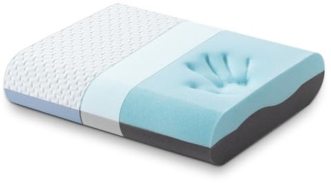 BedStory Oreiller Ergonomique Cervical | Oreiller Memoire Forme Gel et Charbon de Bambou | Cervical avec Housse en Bambou Hypoallergénique Lavable - 60x40x8cm
