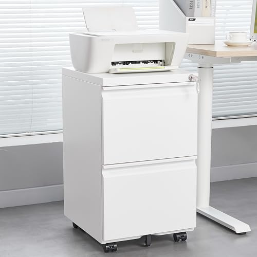 Rollcontainer, mobiler Aktenschrank, abschließbar, 2 Schubladen, Schreibtisch Organizer, vormontiert, für A4/Letter Dokumente, 80 kg Tragfähigkeit, Büro Aufbewahrung, 39 x 45 x 67,5 cm, Weiß