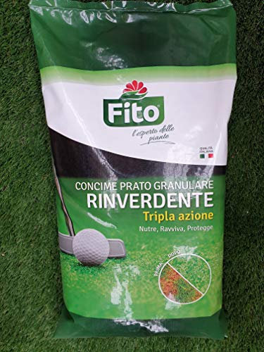 Fito RINVERDENTE ANTIMUSCHIO GRANULARE 10Kg Concime Prato a Tripla Azione, Verde