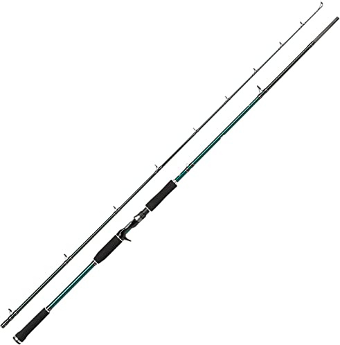 Abu Garcia Beast X Casting Angelrute - Baitcastrute zum Raubfischangeln - Hecht, Barsch, Zander, Forelle