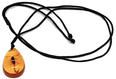 Jorzer Colgante De Escorpión Clásico Ámbar Collar Scorpion, Delicado Collar Ámbar, 1 Pieza