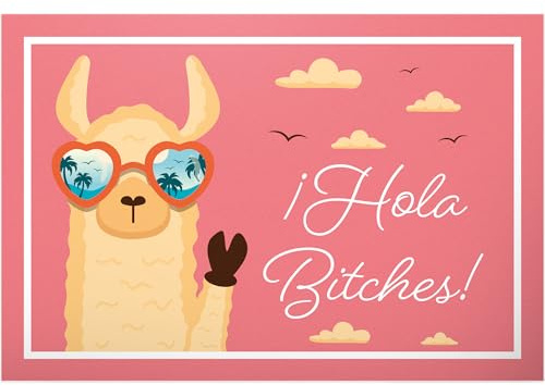 DankeDir! Hola Bitches Lama Alpaca - Schild 30 x 20 cm - Türschild Geburtstagsgeschenk Karte lustiger Spruch Spruchschild - Party Geschenk Geschenkidee Deko Kollegen Freunde Partydeko