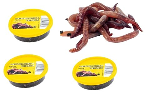 Dendrobena Regenwurm Rotwurm Würmer mittleregröße ca. 75 Stück 3 Dose Lebendfutter, Angelköder, Haustierfutter, Reptilienfutter