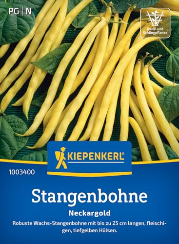 Kiepenkerl Stangenbohnensamen Neckargold 1003400, Gemüsesaat | Wuchshöhe 200-300 cm, fadenlos