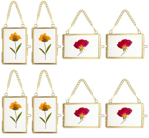 SUMTree 8Pcs Bilderrahmen aus Glas und Metall,Hängende Glas Fotorahmen,Pflanze Probe Clip,Für gepresste Blumen,Fotos,Nur Glasrahmen (Golden, 5x7,6 cm, Rechteck, 4 x horizontal,4 x vertikal)