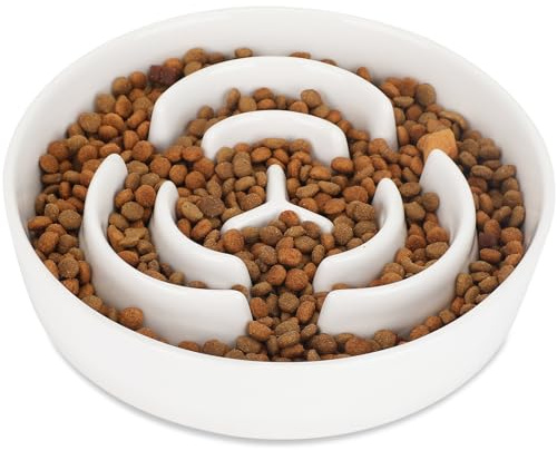 IDOGCHEW Antischlingnapf Hunde Keramik, Slow Feeder Hundenapf Ø 20.5cm | Futternapf Hund für mittelgroße und große Hunde, rutschfest, spülmaschinenfest, lebensmittelechtes Material, weiß