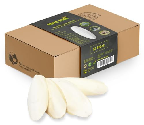 Sepia King ECO Box Sepiaschalen für Schildkröten, Vögel, Reptilien, Bartagame | Premium Sepia Schalen Futter, natürliche Kalzium Quelle, 10-15cm, Terrarium Zubehör