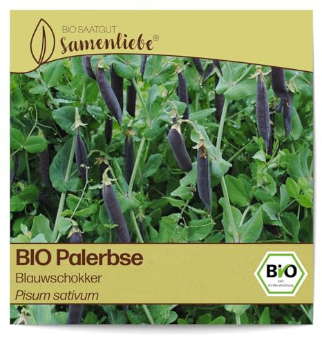 Samenliebe BIO Palerbsen Samen alte Sorte Blauwschokker süß aromatisch Kapuzinererbse Erbse violett 20 Samen samenfestes Gemüse Saatgut für Gewächshaus Freiland und Balkon BIO Gemüsesamen
