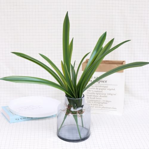 Evlasumflow 3pcs Artificial Cymbidium Leaves 17 Fake Real Touch Clivia Faux Orchid Leaves Green Plants for Vase Bouquets Home Office Wedding Decor.