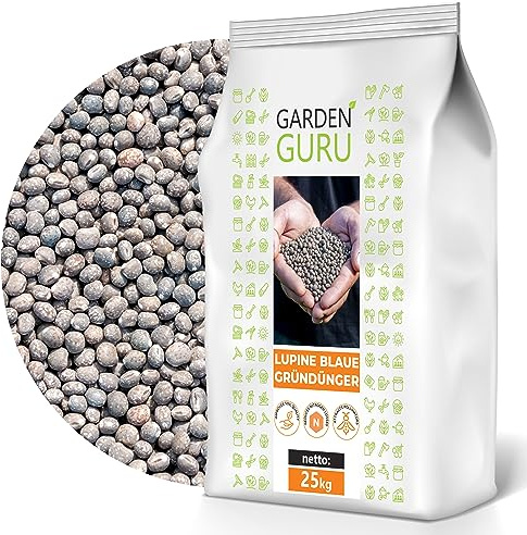 Lupine blau Samen Lupinus Gründüngung Düngelupinen Dünge-Lupine 25kg schnelles Wachstum, Bodenverbesserung, Tierfutter, Honigpflanze, hochwertige Samen Süßlupine