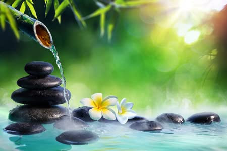 adrium Acryl-Bild 60 x 40 cm: Plumeria-Blumen im japanischen Brunnen mit Steinen und Bambusmassage - Zen-Garten(104828182)