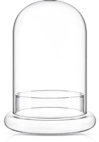 Perthlin 1 terrarium en verre transparent de 15 x 20 cm avec trou d'air et base pour plantes, fleurs, décoration de table, centre de table, plantes non incluses