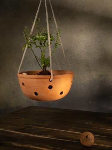 Village Decor Pot à orchidée en forme de bol en terre cuite – Diamètre – 20,3 cm