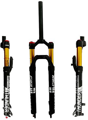 LHHL Fahrradgabel 27 29 MTB Luftfederung Rebound Adjust Gerader Gabelschaft 1-1/8 Federweg 100mm Scheibenbremse Manuelle Sperrung 9mm QR 1720g(Silver,29in)
