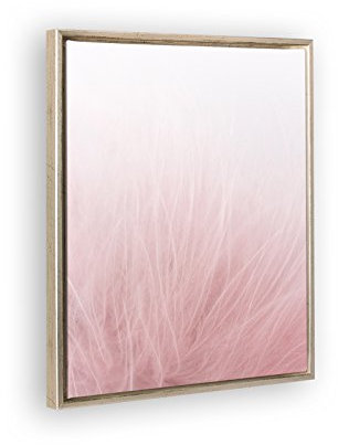 Bildershop-24 Schattenfugenrahmen Set Lemgo Silber Antik mit Keilrahmen Leinwand Bild Druck Motiv: Feder Rosa 2 70x100cm