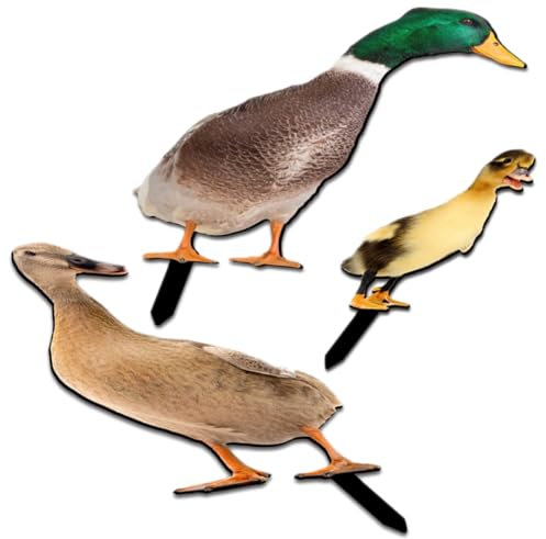 Happyyami 3stücke Enten-gartenornamente Aus Acryl Gartenschild Mit Pfahl Rasenschild Als Gartendekoration Hofdekoration Mit Lebendigem Muster Wetterfeste Gartenkunst Für Blumentöpfe Und Park
