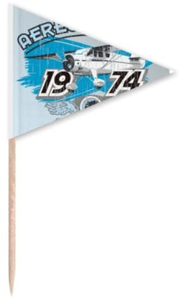 1974 Plane aereo TOU Pattern Toothpick Triangle Cupcake Toppers Flag