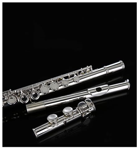 Querflöte Instrument 16-Loch-Öffnung C-Klappe Vernickeltes Flöteninstrument Anfänger Allzweck-E-Klappe Musikserie Professionelle Flöte