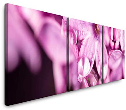 EAUZONE GmbH Blumen in pink 220 x 70cm - 3 Bilder je 70x70cm Bild XXL Panorama Deko Wandbilder auf Leinwand