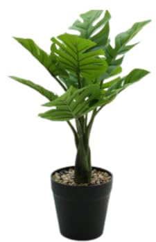 Générique Fausse Plante Caméra Espion 4k WiFi