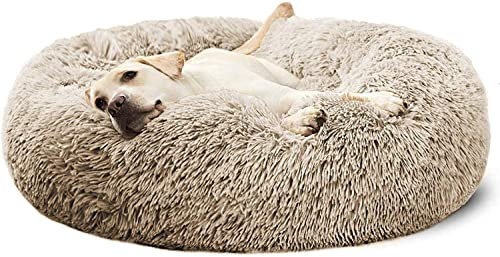Zoomlie Hundebett Rund Flauschig Katzenbett Weiches Plüsch Hundekissen Donut Haustierbett Hundesofa für Kleine Mittlere Extra Große Hunde Katzen Abnehmbar XXXL-110cm(XL-80cm,Beige)