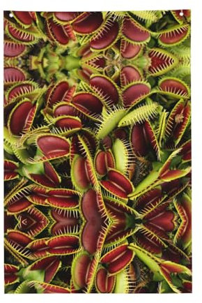 Wurton Drapeau de jardin carnivore imprimé plante 0,6 x 0,9 m, décoration d'intérieur pour toutes les saisons, décoration patriotique, drapeau saisonnier extérieur