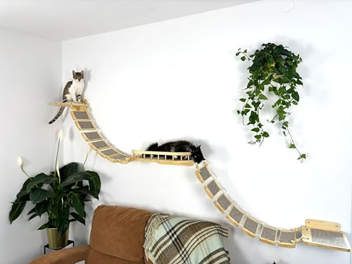 RshPets® Kletterwand Katzen Set - 285 cm Katzenbrücke XXL - Katzenbett - Hängematte für Katze - Katzen Wandelemente - Katzentreppe Wand - Katzenleiter - Wandmontierte Katzenmöbel (Helle Farbe)