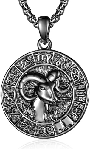 ADMETUS 12 Sternzeichen Halskette Silber 925 Tierkreiszeichen Anhänger Schmuck Runde Sternzeichen Konstellation Kette Geschenke für Männer mit 2.5mm 22+2 Rolo Ketten