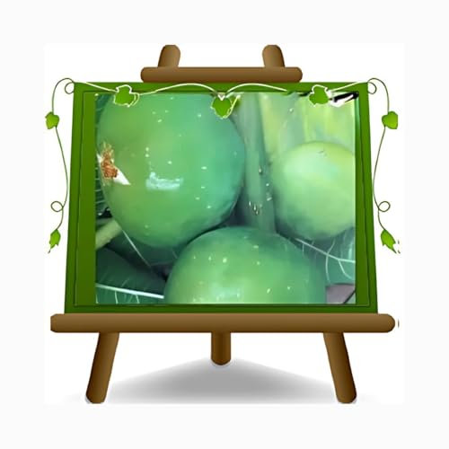 EURO PLANTS VIVAI Fico Reale - Pianta da Frutto Antico su Vaso da 20 cm. - *Altezza: 150-170 cm. - Età 2 Anni