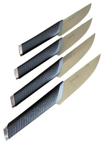 cozydiscount Écriture Kitchen. Set de 4 Couteaux à Steak - Acier Japonais AUS-10 - Design français