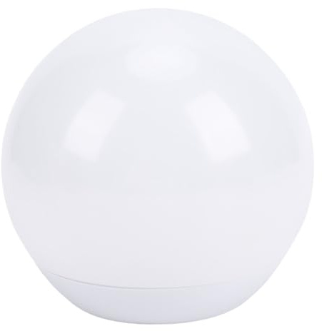 Oytrui Boule Lumineuse LED, Lampe Globe sans Fil Rechargeable avec Télécommande, Orbe Lumineux Décoratif coloré pour la Maison, le Jardin, L'extérieur, la Fête, la Décoration de