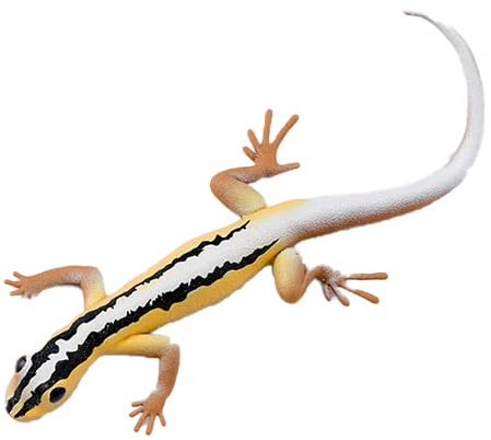 Blue Ocean Geckos Planet Wow Sammelfiguren – Gecko Nr 05 – Wiegmanns Streifen-Gecko