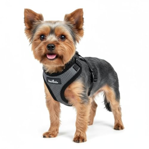 Hundegeschirr für kleine Hunde ausbruchsicher